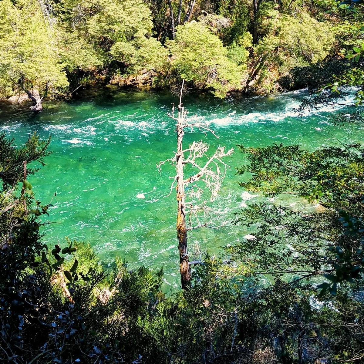 Río de agua turquesa entre el bosque